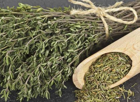 تصویر 1 از خرید و قیمت آویشن کوهی شیراز + فروش صادراتی